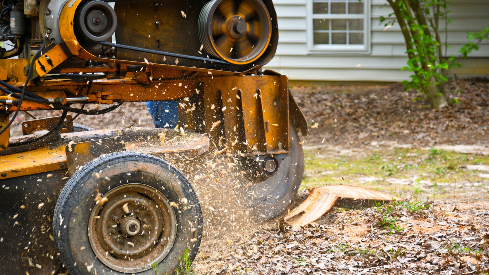 Stump Grinding & Removal Stump Grinding & Removal