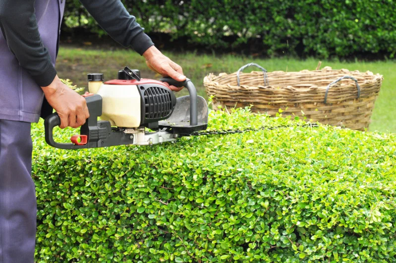 Tree & Shrub Care
