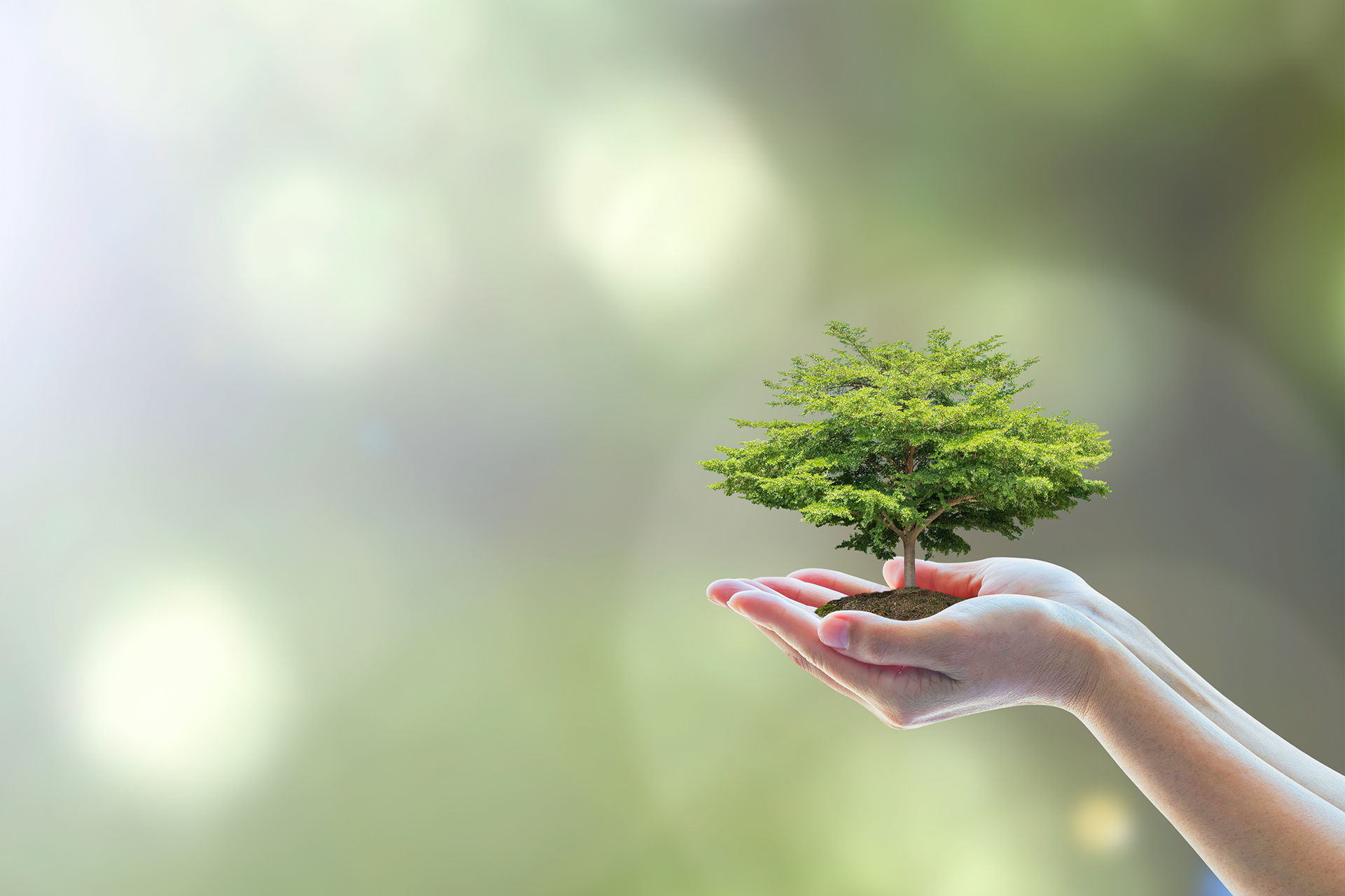 Eco-Friendly Practices