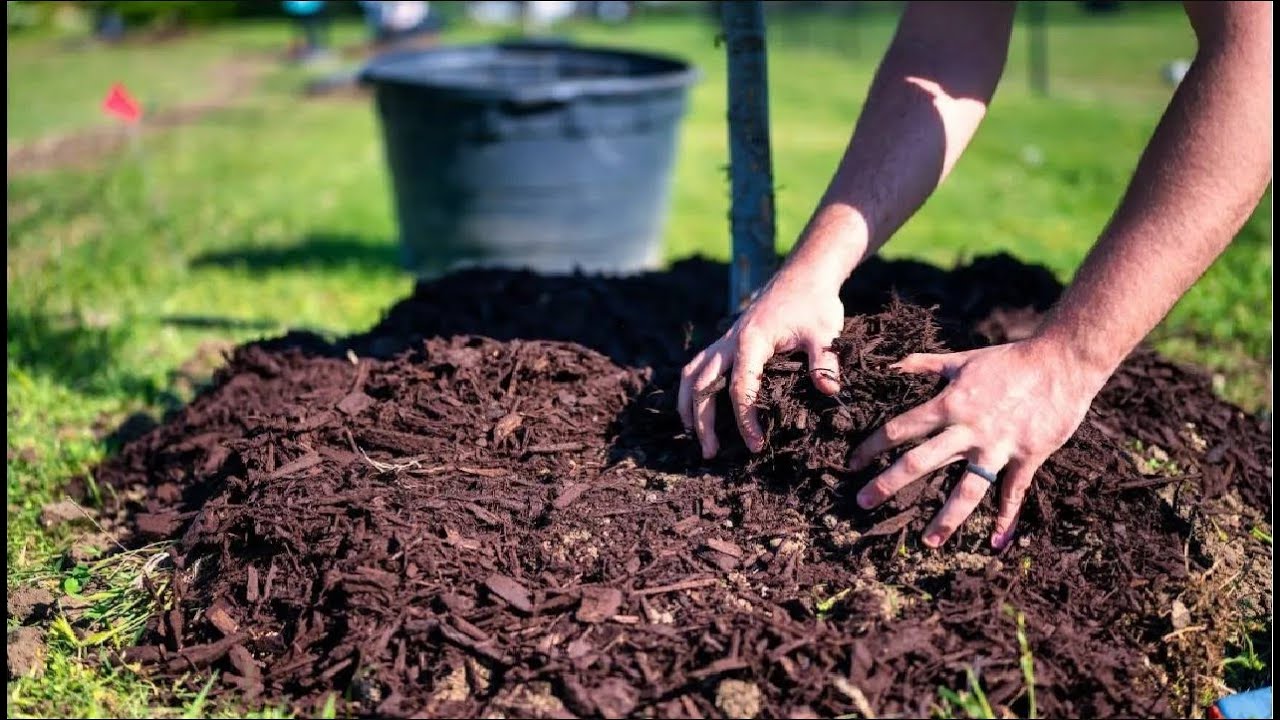 Mulching & Soil Enhancement