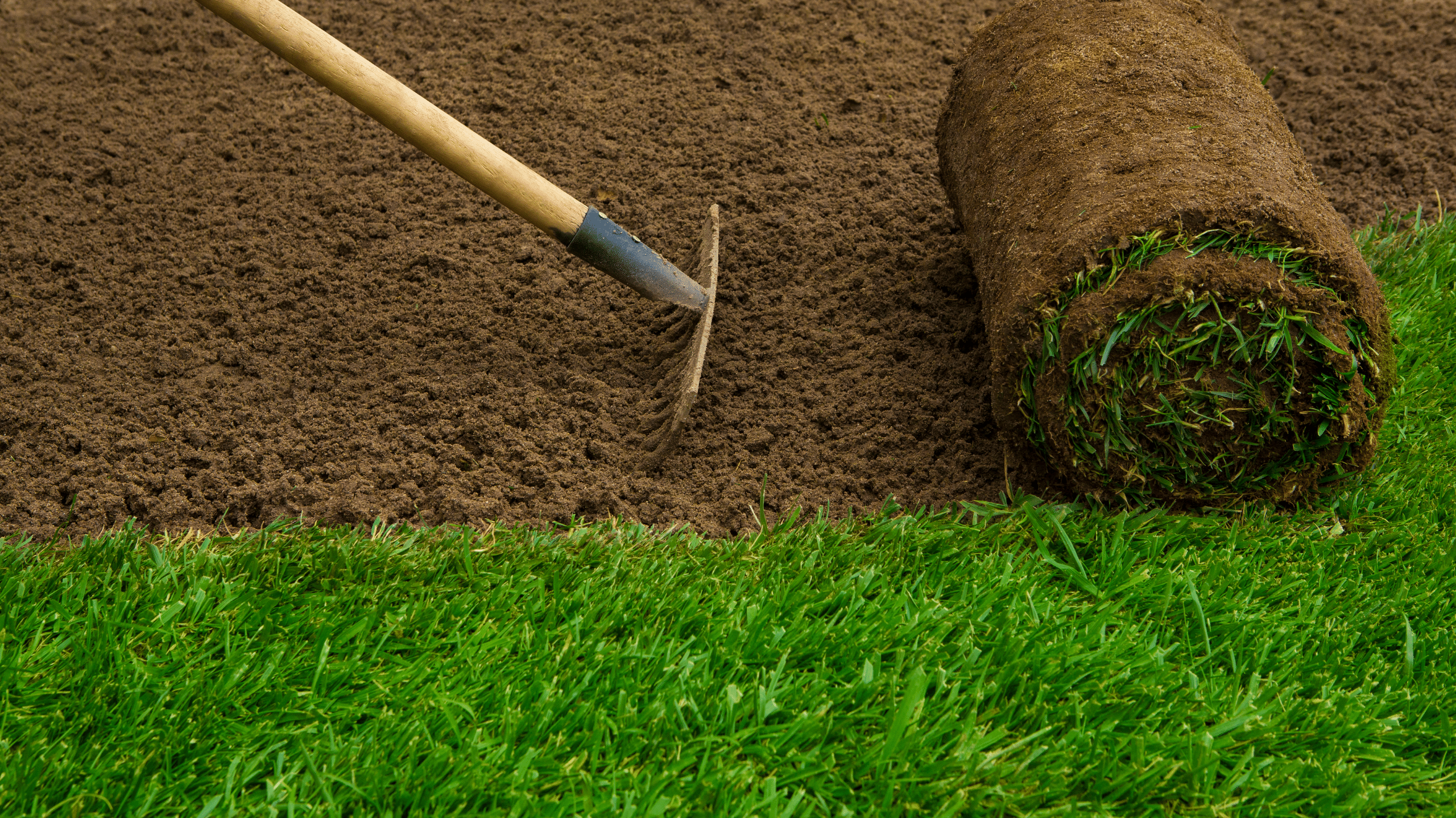Sod Installation & Seeding